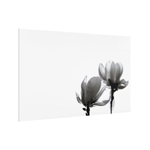 Painel antisalpicos Herald Of Spring Magnolia Black And White