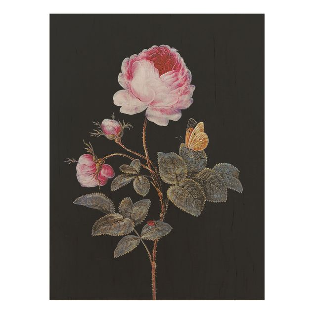 Quadros por movimento artístico Barbara Regina Dietzsch - The Hundred-Petalled Rose