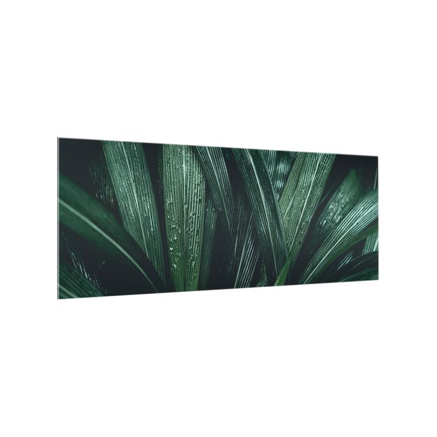 painéis antisalpicos Green Palm Leaves