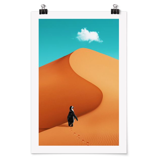 Posters animais Desert With Penguin