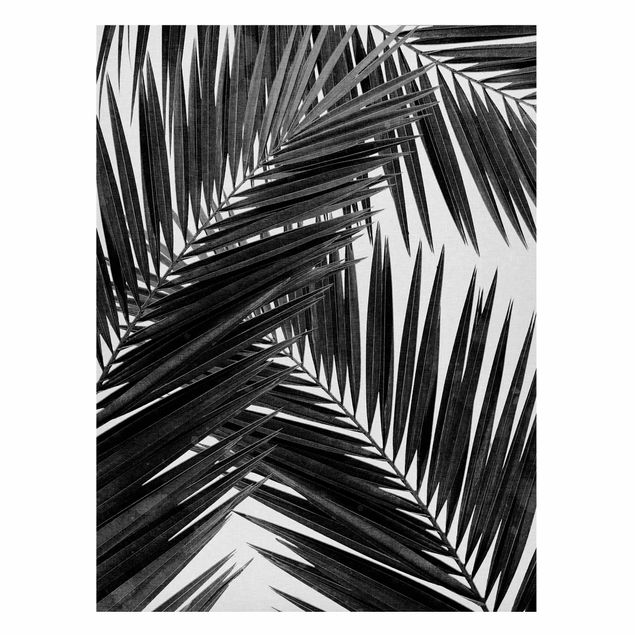 Quadros paisagens View Through Palm Leaves Black And White