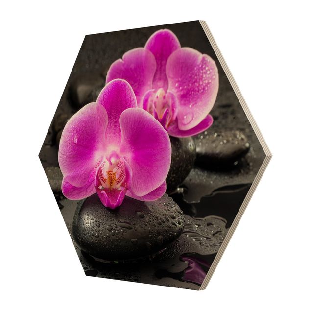 Quadros de Uwe Merkel Pink Orchid Flowers On Stones With Drops