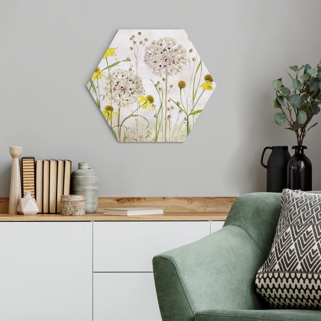 quadros de flores Allium And Helenium Illustration