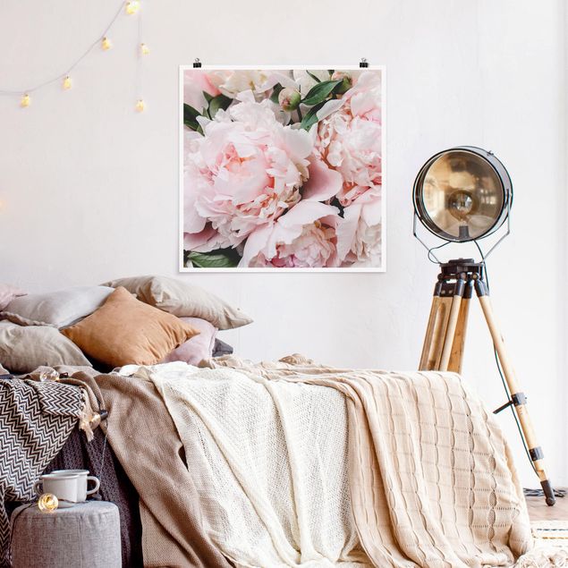 Posters flores Peonies Light Pink