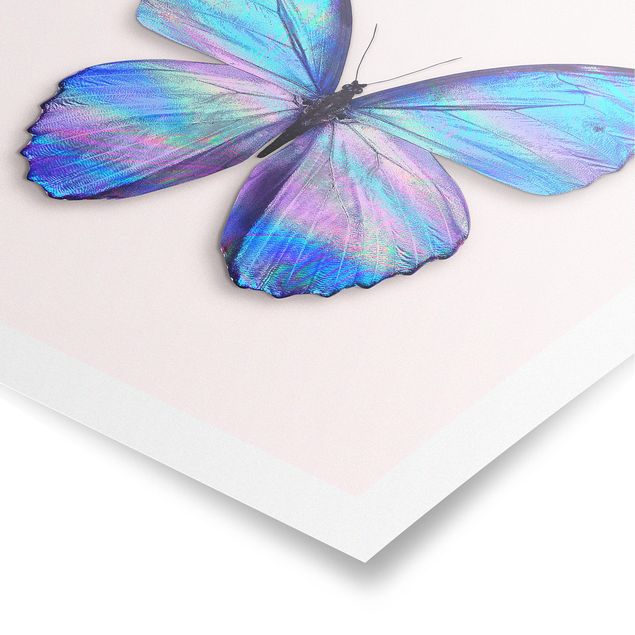 Posters quadros famosos Holographic Butterfly