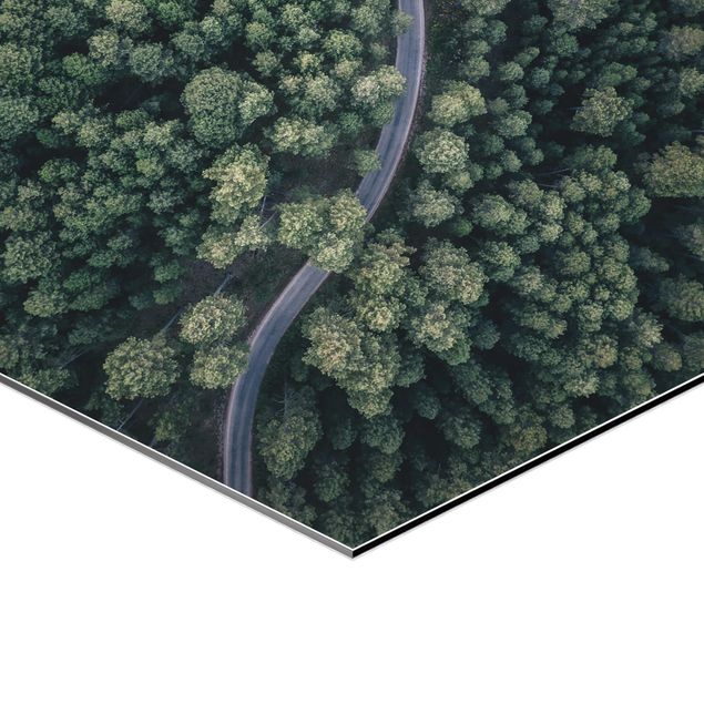 Quadros hexagonais Aerial View - Forest Road From The Top