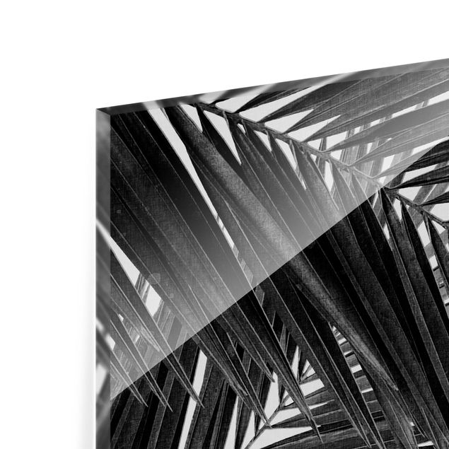 Painel anti-salpicos de cozinha View Through Palm Leaves Black And White