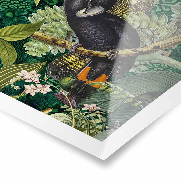 quadro decorativo verde Colourful Collage - Cockatoos In The Jungle