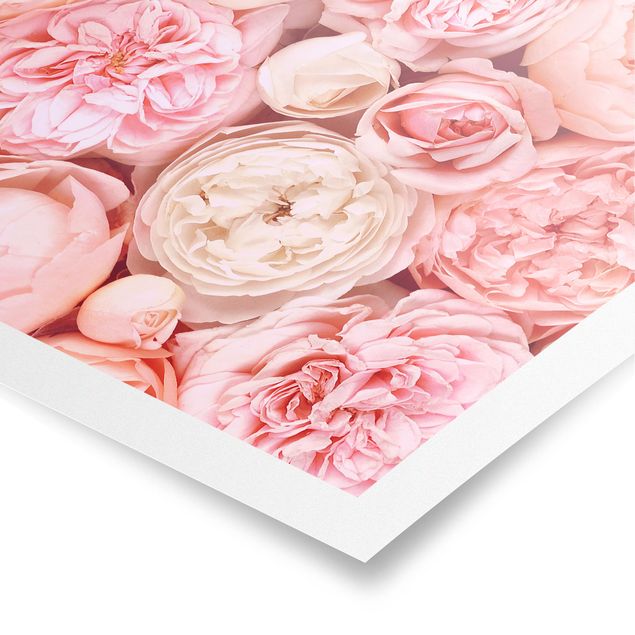 quadros para parede Roses Rosé Coral Shabby