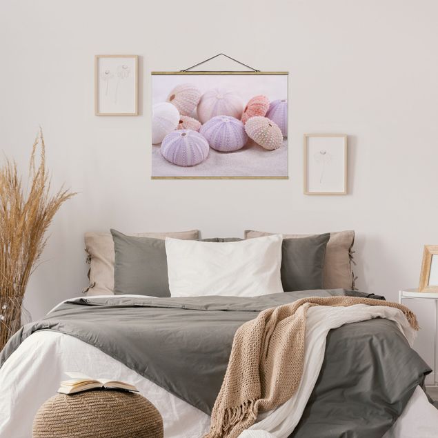 quadros modernos para quarto de casal Sea Urchin In Pastel
