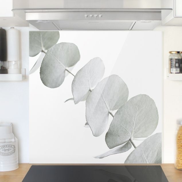 decoraçao cozinha Eucalyptus Branch In White Light