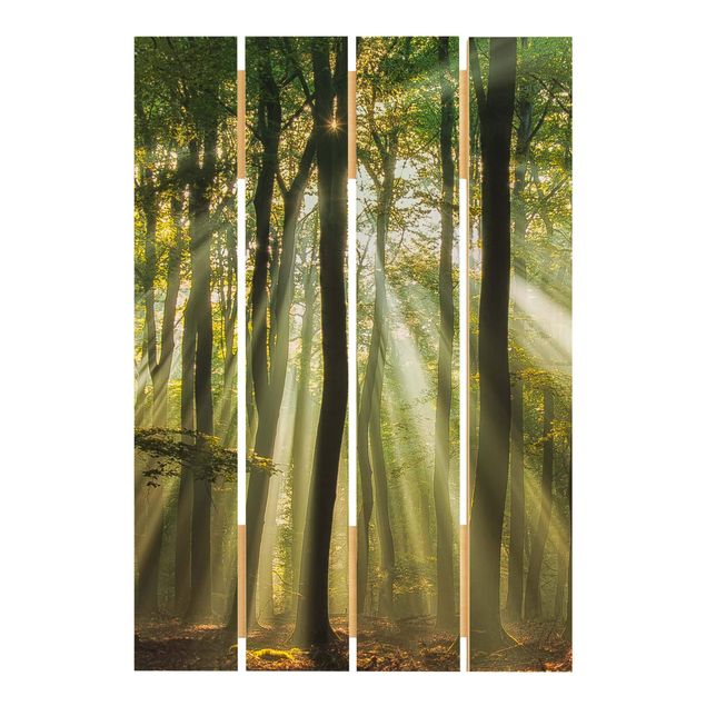 quadro de madeira para parede Sunny Day In The Forest