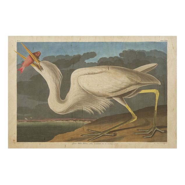 Quadros em madeira vintage Vintage Board Great White Egret
