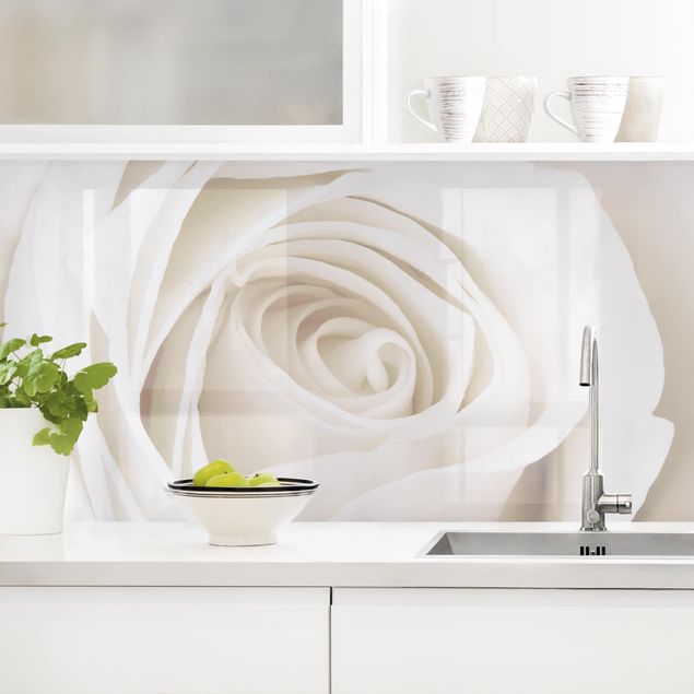decoraçao cozinha Pretty White Rose