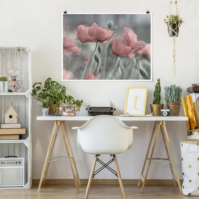 Posters flores Picturesque Poppy