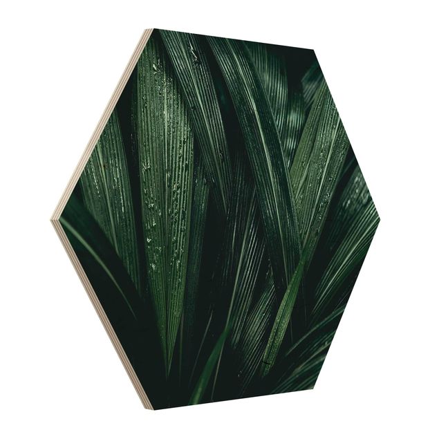 Quadros em madeira Green Palm Leaves