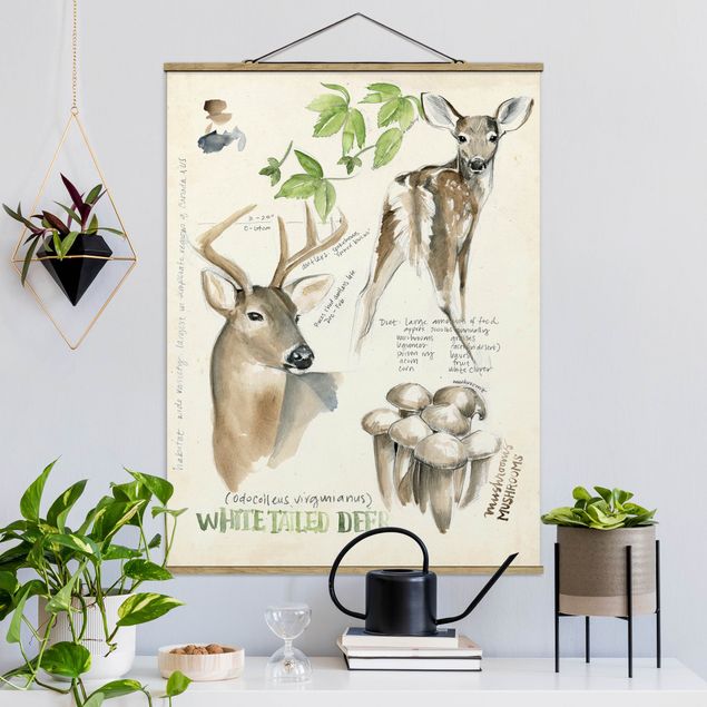 decoraçao cozinha Wilderness Journal - Deer