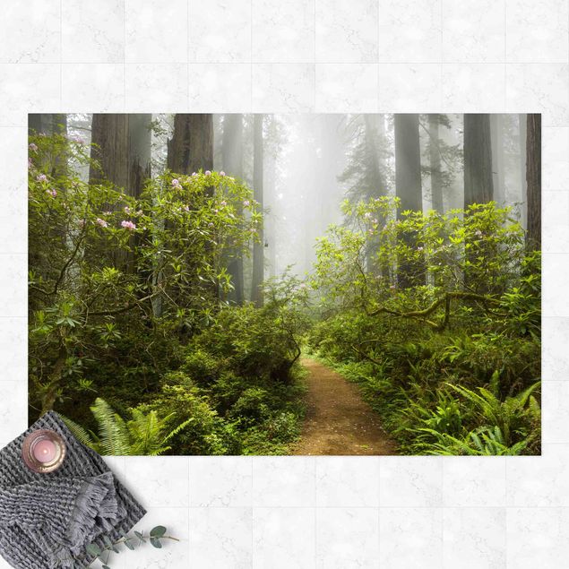 Tapetes exteriores Misty Forest Path