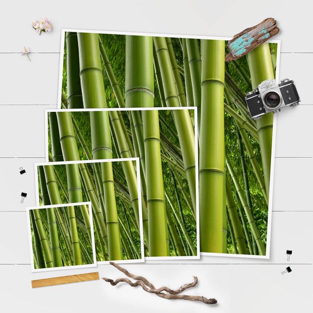 quadros modernos para quarto de casal Bamboo Trees