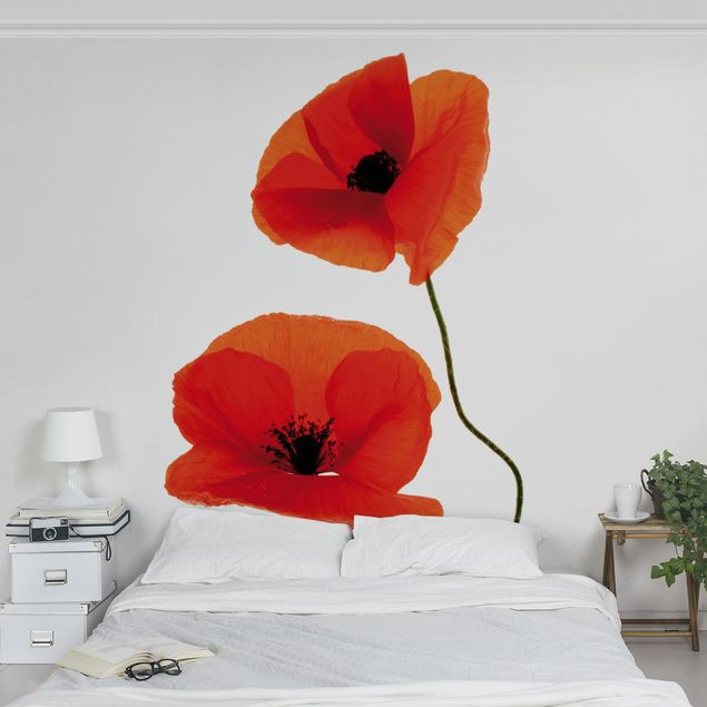 decoraçao para parede de cozinha Charming Poppies