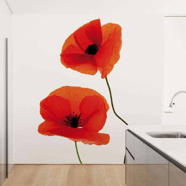 papel de parede para quarto de casal moderno Charming Poppies