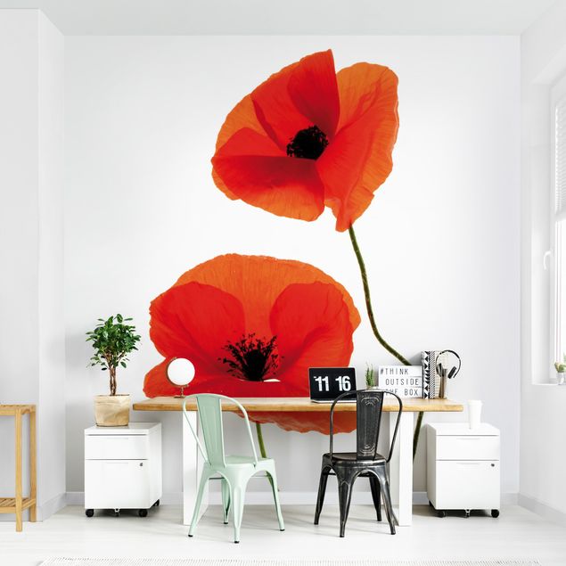 papel de parede floral Charming Poppies