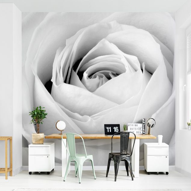 Papel de parede com flores Close Up Rose