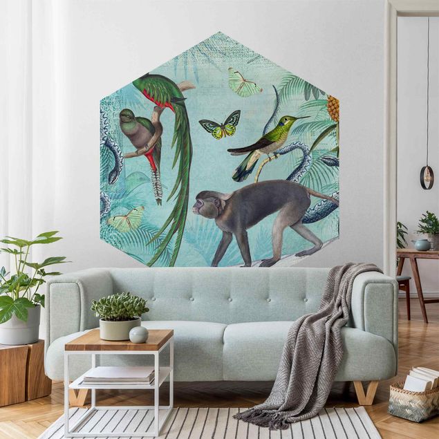 papel de parede moderno Colonial Style Collage - Monkeys And Birds Of Paradise