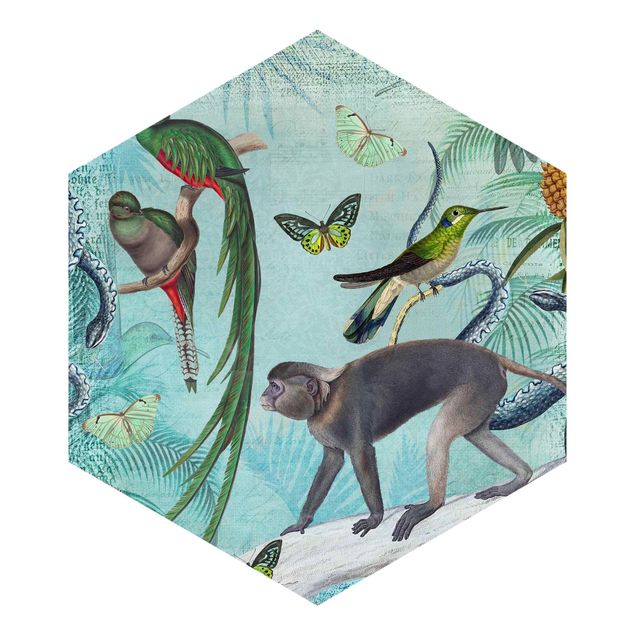 Papel de parede animais Colonial Style Collage - Monkeys And Birds Of Paradise
