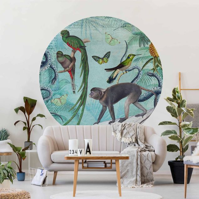 Papel de parede borboletas Colonial Style Collage - Monkeys And Birds Of Paradise