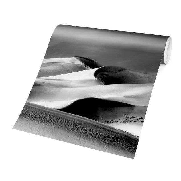 papel de parede branco e preto Colorado Dunes Black And White
