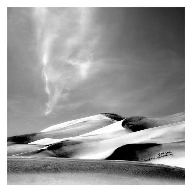 papel de parede com paisagem Colorado Dunes Black And White