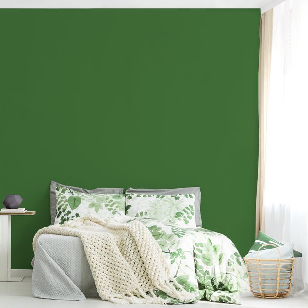 decoraçao para parede de cozinha Colour Dark Green
