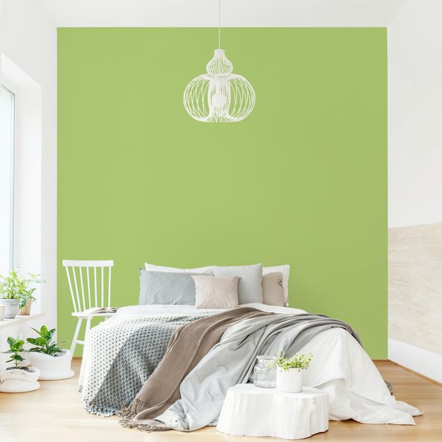 murais de parede Colour Spring Green