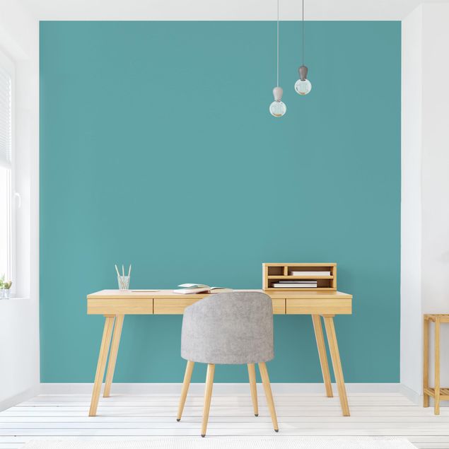 decoraçao para parede de cozinha Colour Turquoise