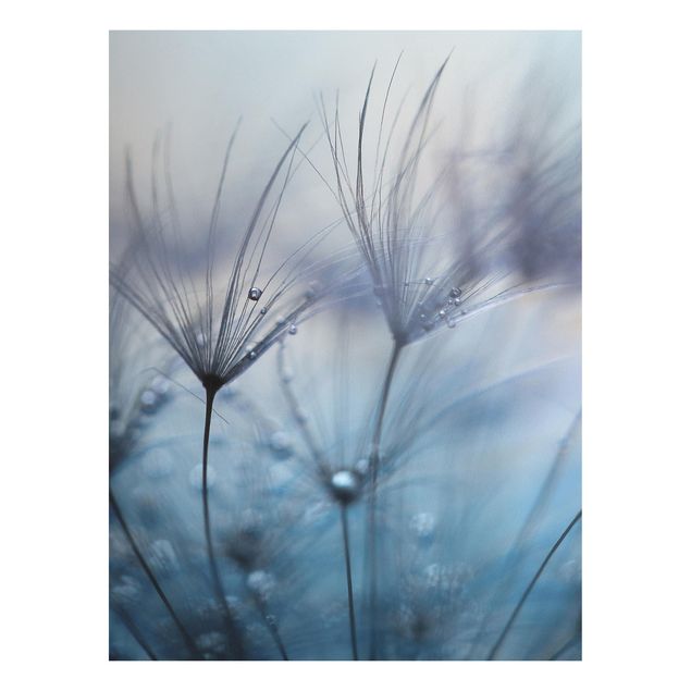 Quadros florais Blue Feathers In The Rain