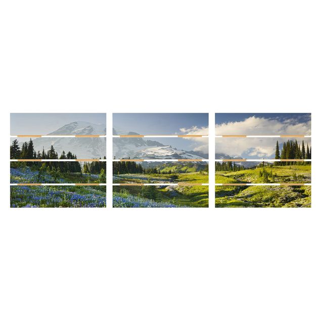 Quadros de Rainer Mirau Mountain Meadow With Blue Flowers in Front of Mt. Rainier