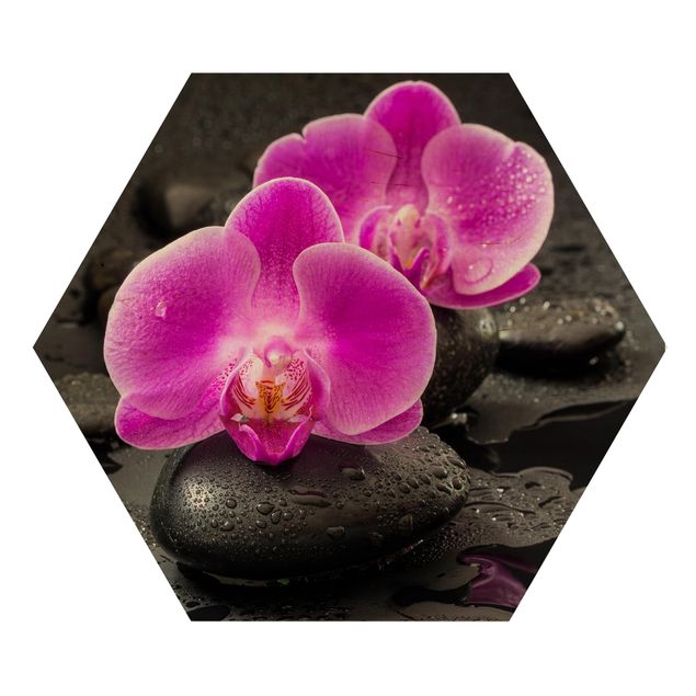 quadros de flores Pink Orchid Flowers On Stones With Drops