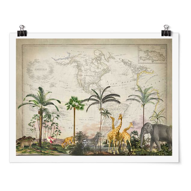 Posters flores Vintage Collage - Wildlife On World Map