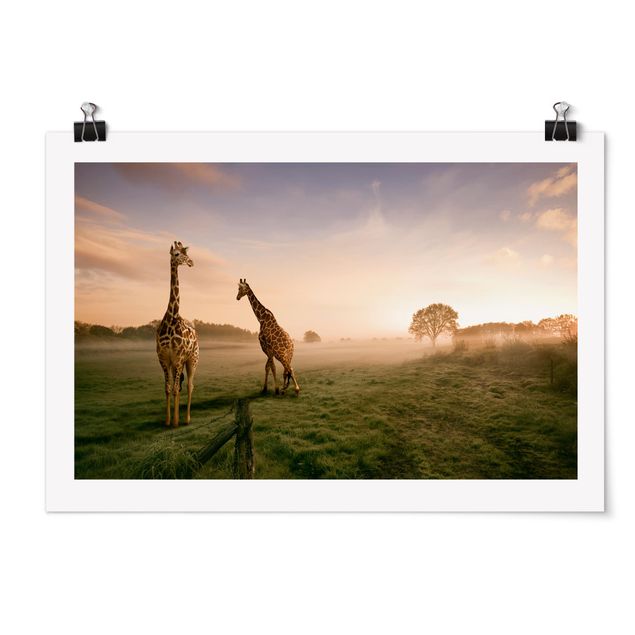 Quadros paisagens Surreal Giraffes