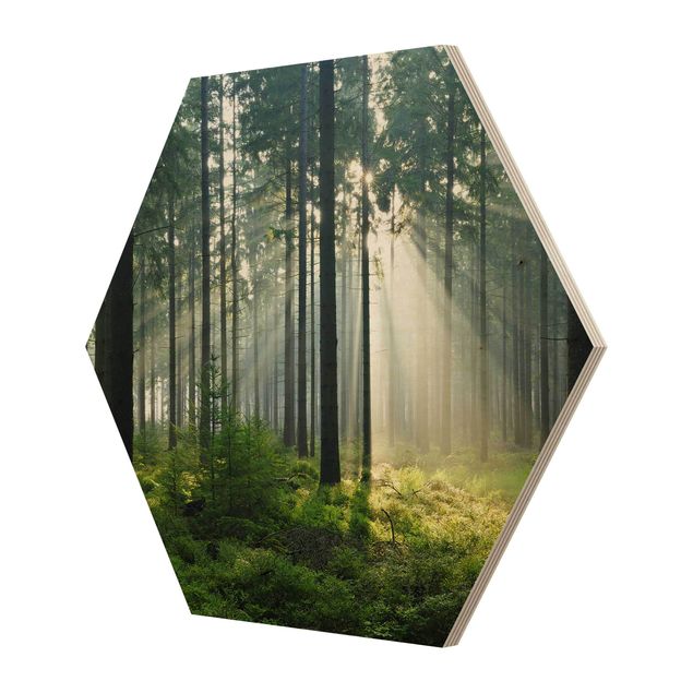 Quadros hexagonais Enlightened Forest