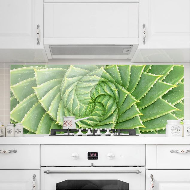decoraçoes cozinha Spiral Aloe
