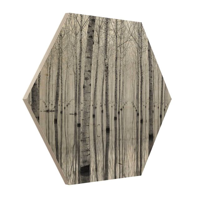 quadro de madeira para parede Birches In November