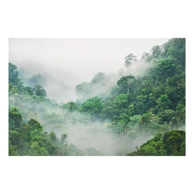 Painel anti-salpicos de cozinha Jungle In The Fog