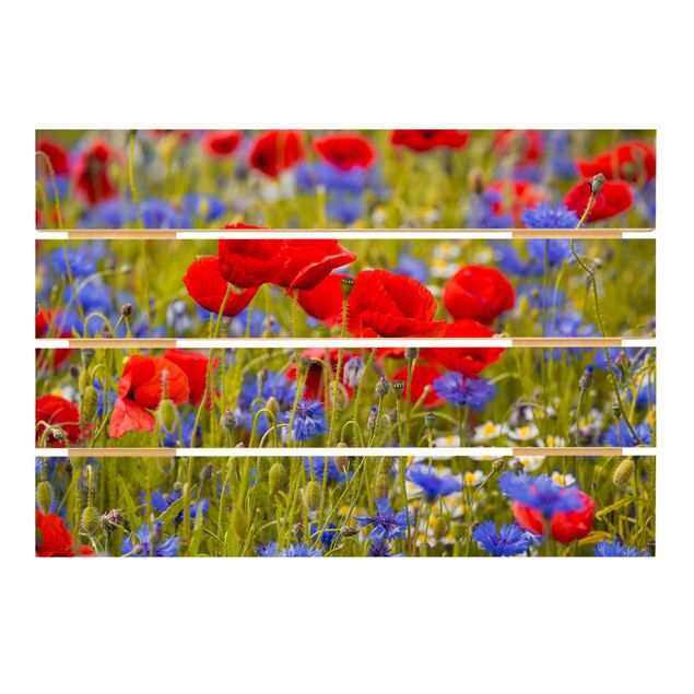 quadros para parede Summer Meadow With Poppies And Cornflowers