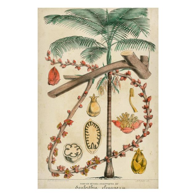 quadro com paisagens Vintage Board Exotic Palms II