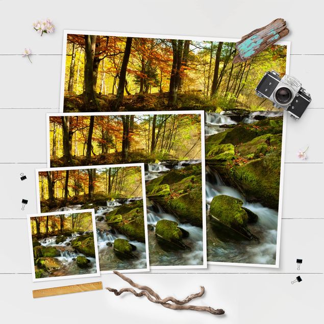 quadros decorativos verde Waterfall Autumnal Forest