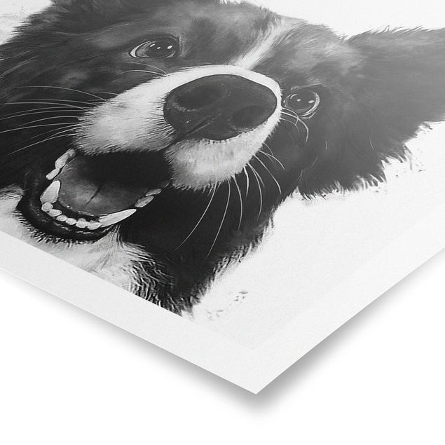 Posters animais Illustration Dog Border Collie Black And White Painting