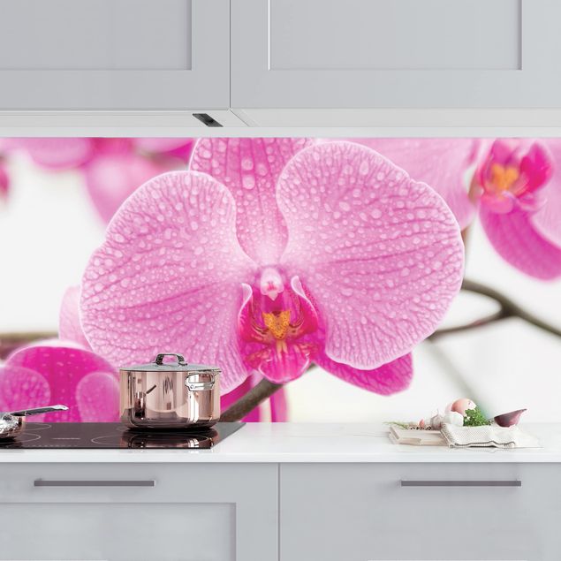 decoraçao cozinha Close-Up Orchid