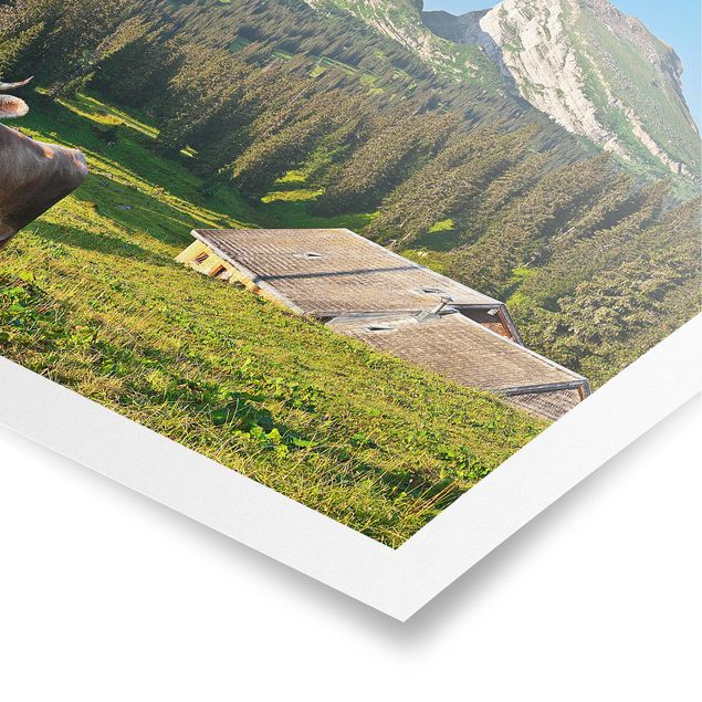 Quadros paisagens Swiss Alpine Meadow With Cow